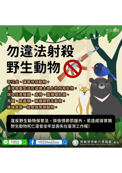 中文